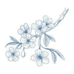 Botanical blue wedding flower on white background. Hand drawn floral, flower and leaf branch in toile de jouy style. Line art for wedding, monogram, invitation, greeting, logo, birthday cards