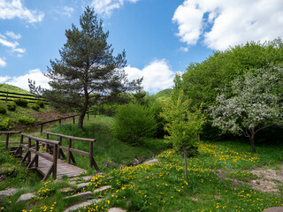 Scenic spring landscape with wooden bridge, blooming trees, green grass, and yellow dandelions under a blue sky with white clouds.