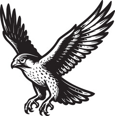 falcon flying drawing vector illustration