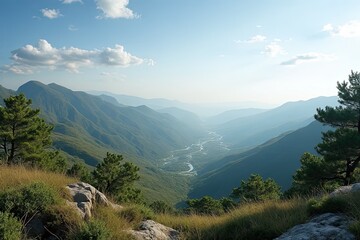 Fototapeta premium Beautiful Nature Views