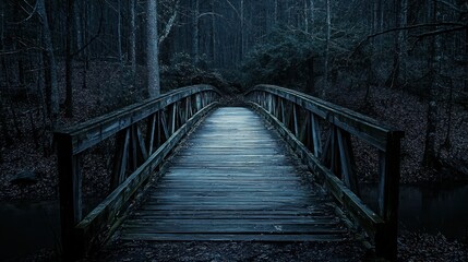 A creepy wooden bridge leading into a dark forest