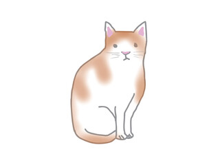 An illustration of a cute brown and white cat sitting and looking straight ahead