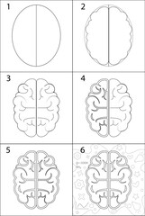 step-by-step instructions on how to draw a brain. flat vector graphics. two hemispheres. a set of contour images with the basics of drawing, stages.
