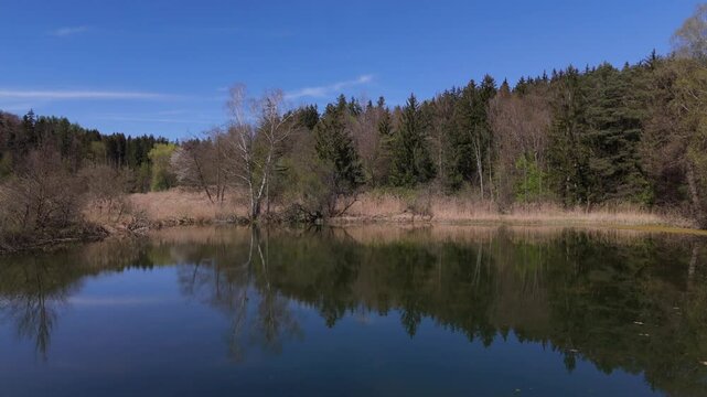 Luftaufnahme idyllisches Naturschutzgebiet bei Grafing b. Muenchen in Oberbayern. Eine Kette klarer Weiher, umgeben von gruener Fruehlingsnatur, perfekt fur Wanderer und Naturfreunde. Spiegelweiher. 