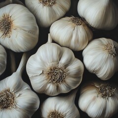 Garlic heads up close