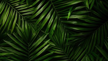 Tropical palm leaves pattern