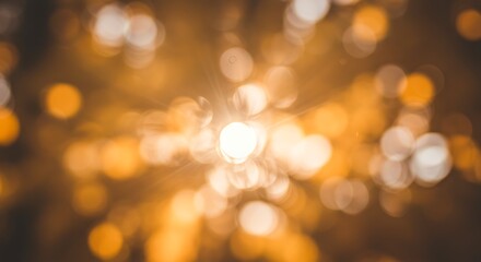 Fototapeta premium Golden Hour Radiance