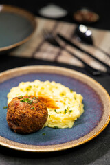 Typical Czech cuisine pork meatball with mashed potatoes
