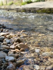 stones in the river, clear water
