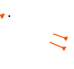 새
