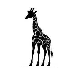 Obraz premium Giraffe standing wild animal design vector silhouette