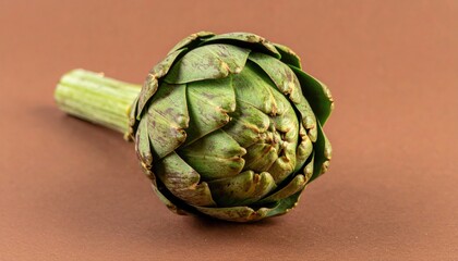 Obraz premium Artichoke on a brown background