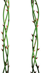 Rose vines with sharp thorns. Prickly vine elements isolated. Prickly vines frame for stories. 3D rendering