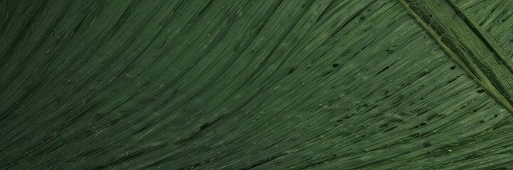 Obraz premium Deep green palm leaf surface, fine lines visible, natural light , vegetation, tropical, photography