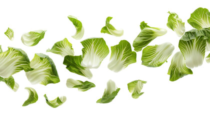 Green Basil Leaves Falling In Motion With Transparent Background

