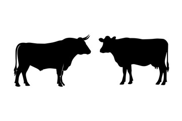 Black and white vector illustration shows a cow and calf silhouette, farm animals often raised for beef and milk