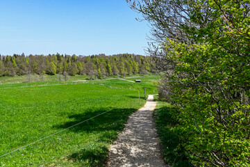 Weissenstein, Hausberg, Aussichtspunkt, Wanderweg, Röti, Hasenmatt, Mittelland, Jura, Kalkfelsen,  Landwirtschaft, Bergwiese, Frühling, Solothurn, Schweiz