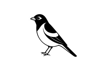 Obraz premium Black crow, a wild bird, illustration on white, perched on a nature branch