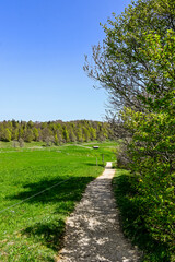 Weissenstein, Hausberg, Aussichtspunkt, Wanderweg, Röti, Hasenmatt, Mittelland, Jura, Kalkfelsen,  Landwirtschaft, Bergwiese, Frühling, Alpenpanorama, Solothurn, Schweiz