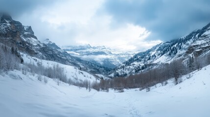 Panoramic winter vista of a snow-covered mountain valley.