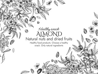 Vector frame with a branch of blooming almonds in engraving style. Graphic banner with nuts on a tree. Template with the cultivation of a healthy snack. Nuts in shell and in cut form, almond flakes