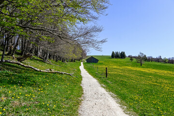 Weissenstein, Hausberg, Aussichtspunkt, Wanderweg, Röti, Hasenmatt, Mittelland, Jura, Kalkfelsen, Aare, Fluss, Landwirtschaft, Bergwiese, Felder, Frühling, Alpenpanorama, Solothurn, Schweiz