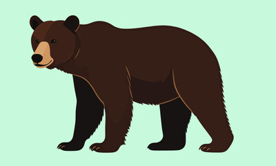 A clean vector illustration of a brown bear standing strong, showcasing detail and a confident pose