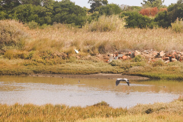 Explorar a Costa Vicentina