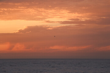 Explorar a Costa Vicentina