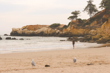 Explorar a Costa Vicentina