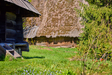 old Carpathian wooden houses with straw roofs standing on a green meadow