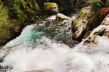 Dar cor &agrave; Serra