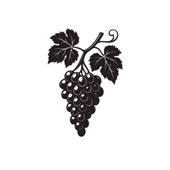 bunch of grapes with leaves