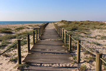 Pelo Passadi&ccedil;o