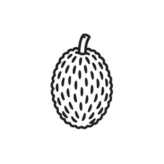 jackfruit isolated on white