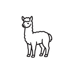 alpaca