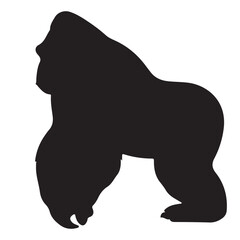 gorila silhoutte illustration 