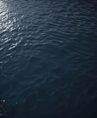 Dark blue water surface, sunlight dappled above,  aquatic life,  liquid