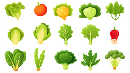 Fresh Ingredient Vector Illustrations for Salad Recipes and Culinary Designs
