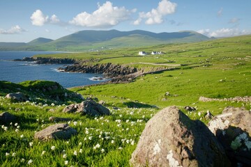 Obraz premium Coastal Irish Landscape