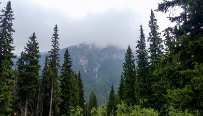 Obraz premium Snowy Mountain Landscape