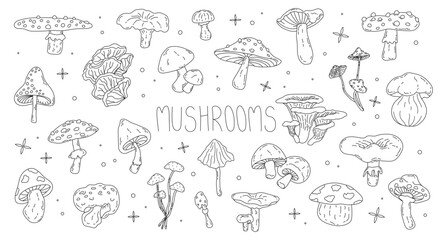 Vector set of various poisonous and edible mushrooms in doodle style. Seasonal hand-drawn mushrooms in line art style for design. Toadstool, fly agaric, chanterelle, boletus. Isolated stock graphics