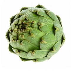 Fototapeta premium Artichoke with Dew Drops on Isolated White Background
