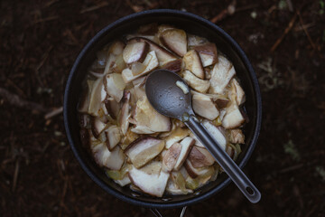 Cooking fresh mushrooms in a pot over an open fire during a camping trip in the woods. Hiking in Carpathian Mountains, Ukraine