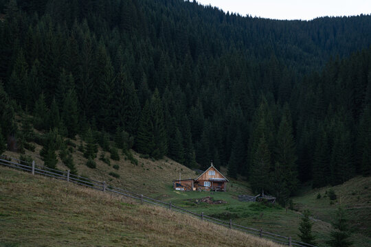 Cozy wooden cabin nestled among tall pine trees in a serene mountain valley at twilight. Hiking in Carpathian Mountains, Ukraine