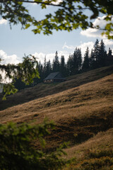 Cabin nestled in a hillside among trees during a sunny afternoon. Hiking in Carpathian Mountains, Ukraine