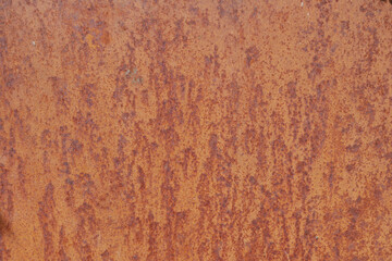 Fototapeta premium Rusty texture in a garden