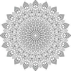 Intricate floral and abstract mandala design. Detailed black and white vector illustration for coloring, decoration, and design projects.
