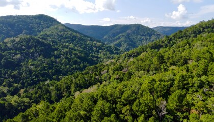 Obraz premium Mountain Valley Landscape