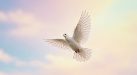 Obraz premium White dove soaring, peaceful sky